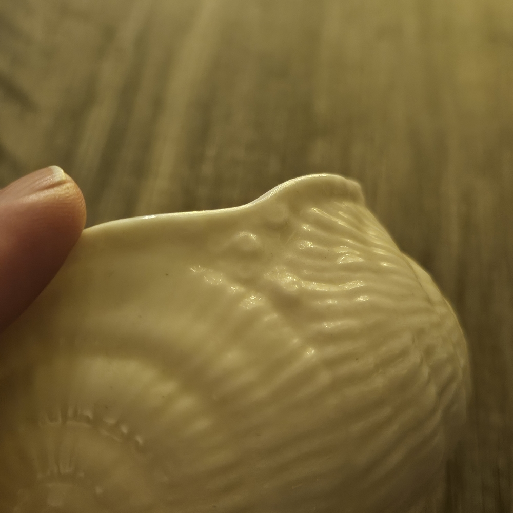 Belleek Toy Nautilus Shell Set - Picture 9 of 10